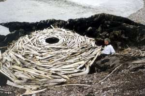Art in nature