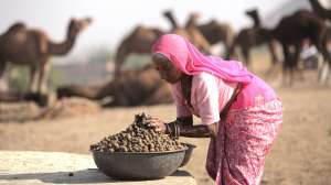 WHY POVERTY?: The way the story is told