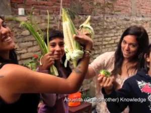 Green feminism and organic diversity