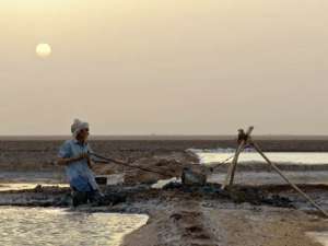 Devoted depiction of impoverished salt workers