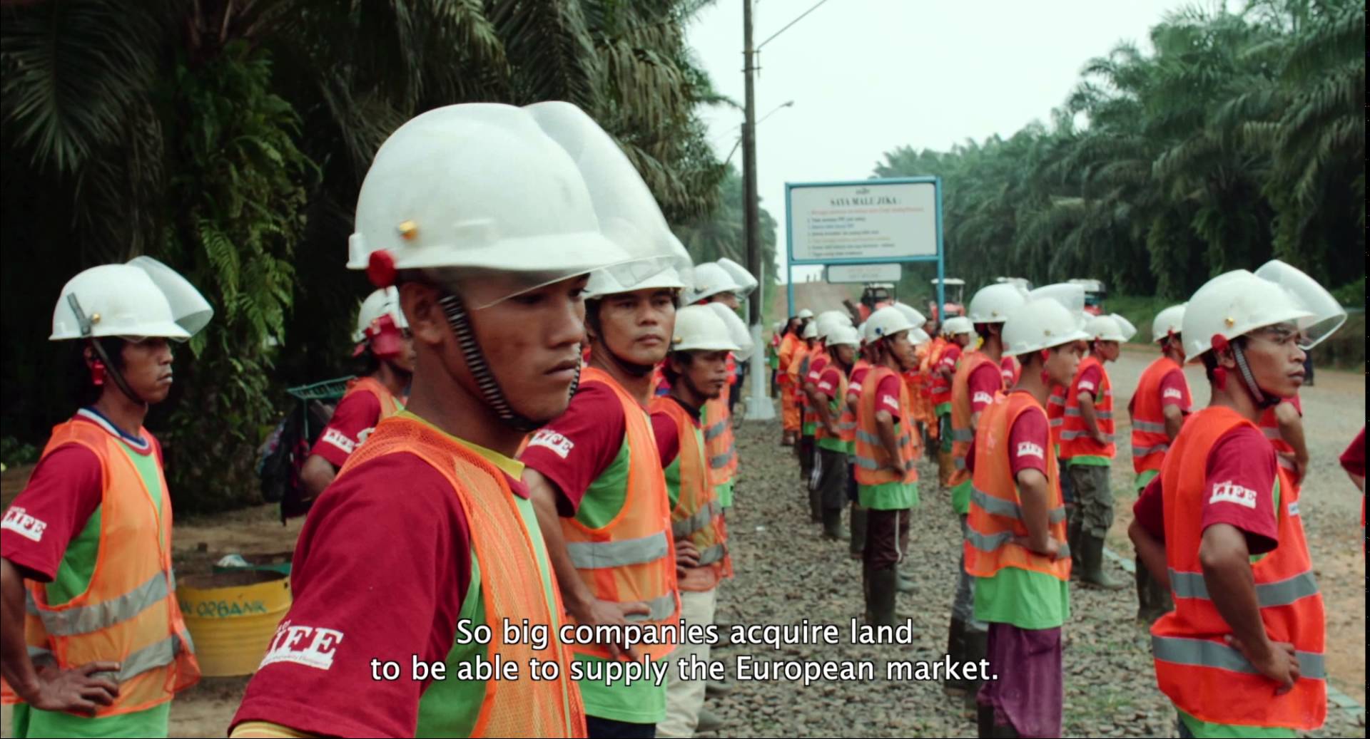Eco-documentary about seizing ground