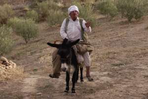 mansourah_you_separated_us_algeria_documentary