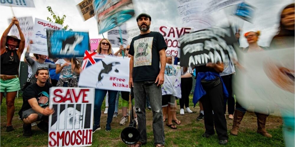 Marineland-documentary-MTR-featured
