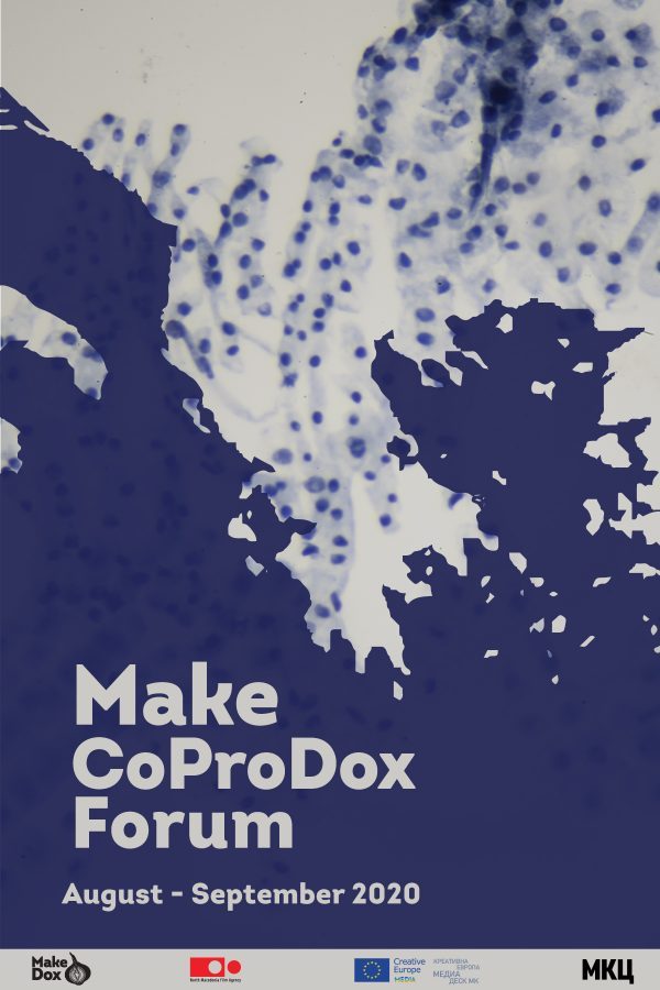 MakeCoProDox Forum 2020-post
