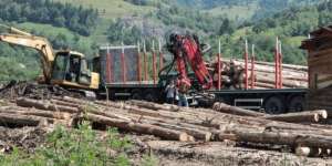 The heart of an ecological crisis