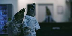 Nordisk Panorama Film Festival-MTR-News-featured