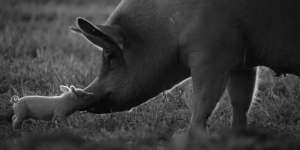 Nordische Filmtage Lübeck announces complete documentary programme for 62nd festival of Nordic and Baltic cinema
