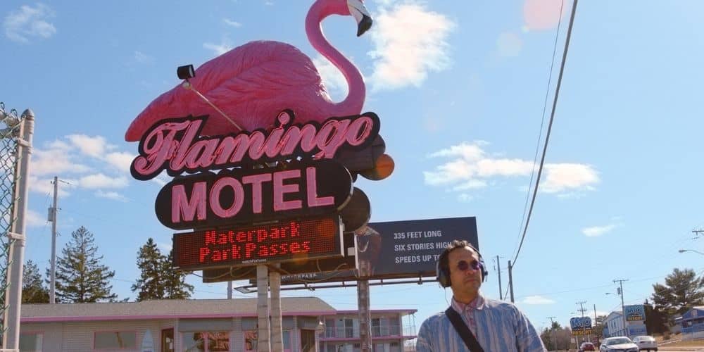The Mystery of the Pink Flamingo, a film by Javier Polo