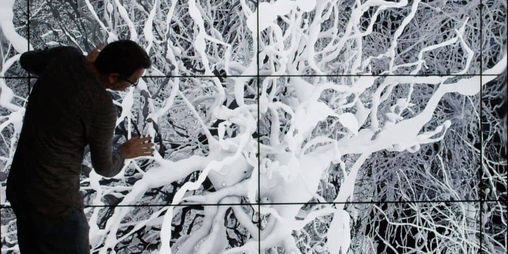 In Silico, a film by Noah Hutton