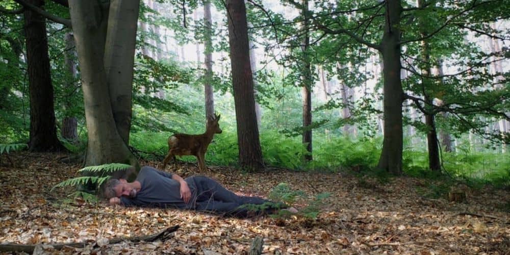 The Wakeful Sleeper, a film by Boris Van der Avoort