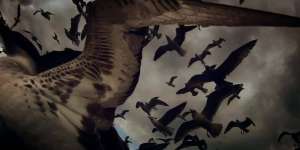 Leviathan, a film by Verena Paravel & Lucien Castaing-Taylor