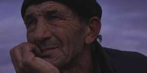 Looking for Horses, a film by Stefan Pavlović
