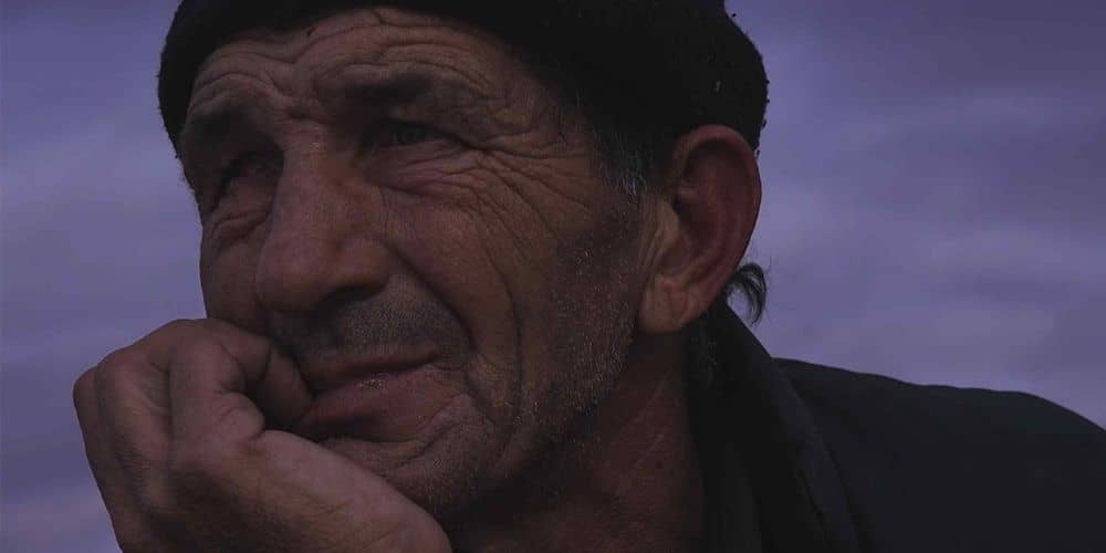 Looking for Horses, a film by Stefan Pavlović