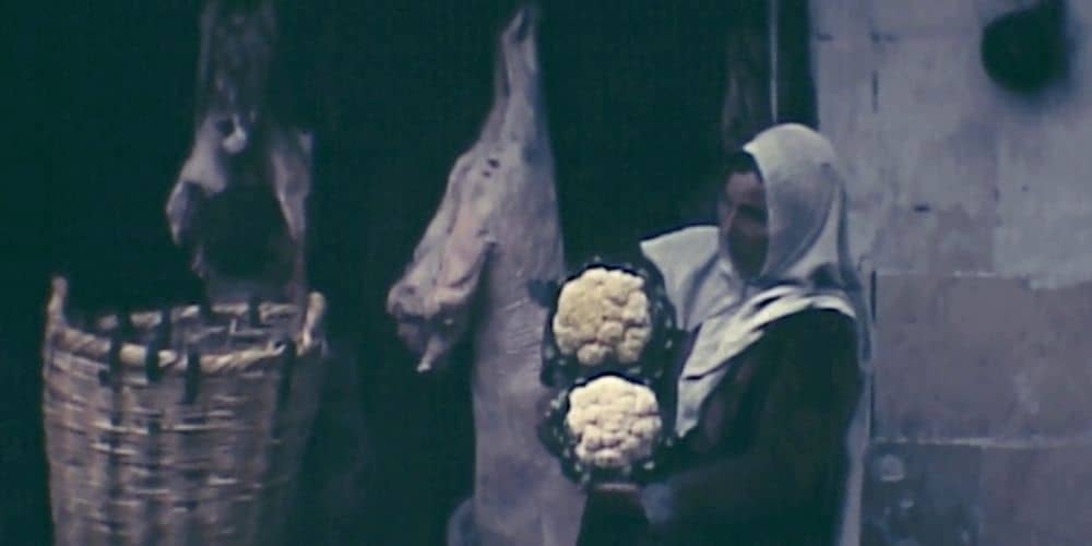 Terra Femme, a film by Courtney Stephens