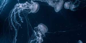CPH:LAB announces 9 projects for 2021/2022