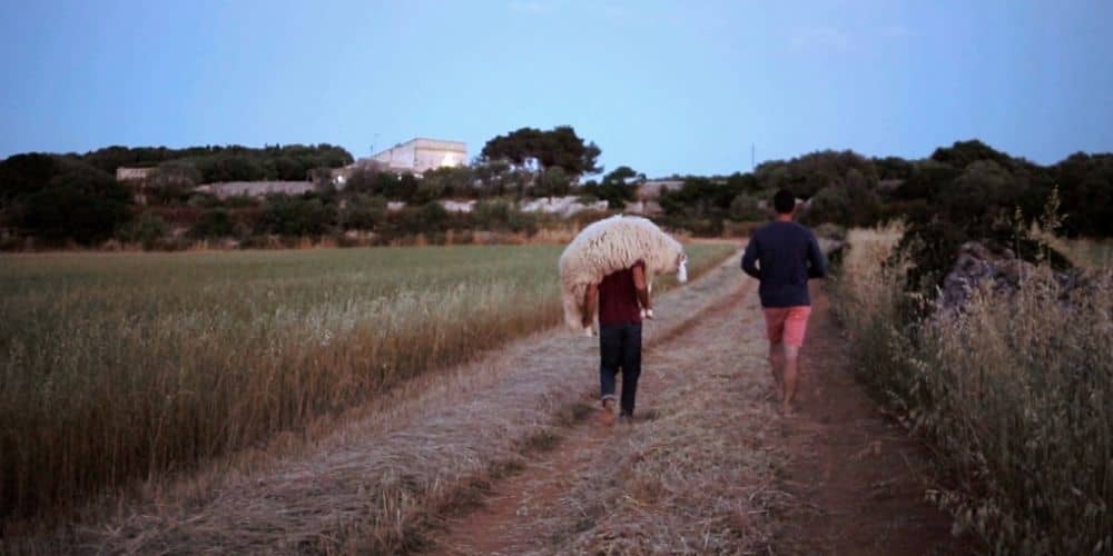 Native Rock, a film by Native Rock