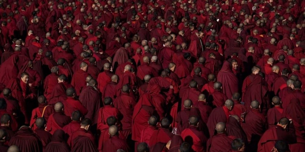 Dark Red Forest,a film by Jin Huaqing