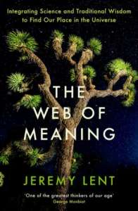 Unpacking the reality of interconnectedness