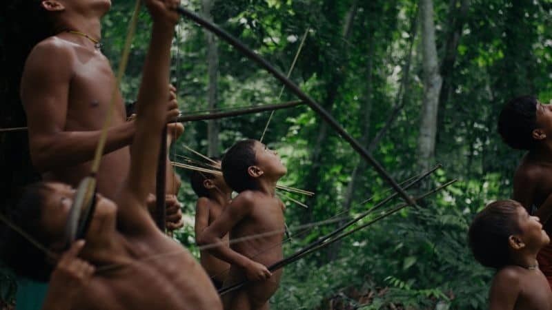 The Last Forest, a film by Luiz Bolognesi