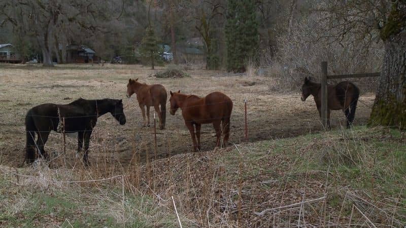The United States of America, a film by James Benning