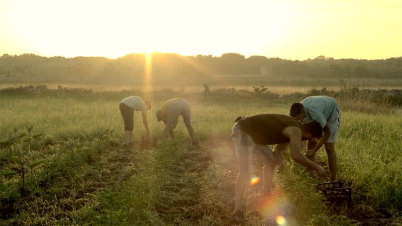 La Restanza, a film by Alessandra Coppola