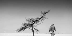 Human Conditionals: The Girl Who Looked in the Mirror of the World