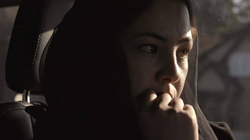 An Unfinished Journey Amie Williams, Aeyliya Husain