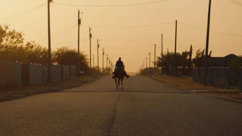 The Border Crossed Us Loretta van der Horst