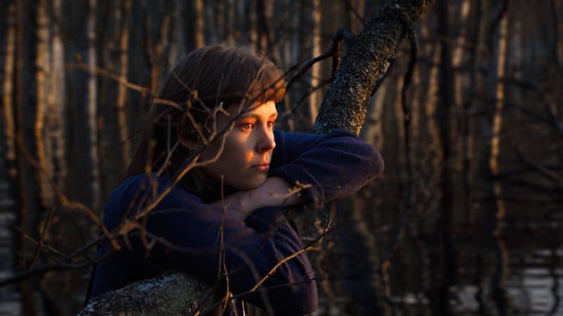 Once Upon a Time in a Forest Virpi Suutari