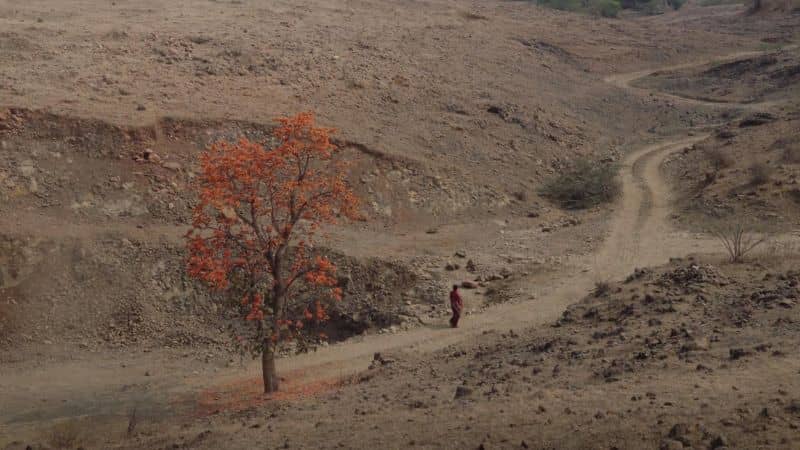 Modern Times Review Kinshuk Surjan