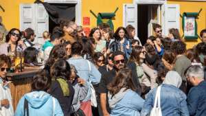 BIFED 2026 opens submissions as a call for ecological solidarity