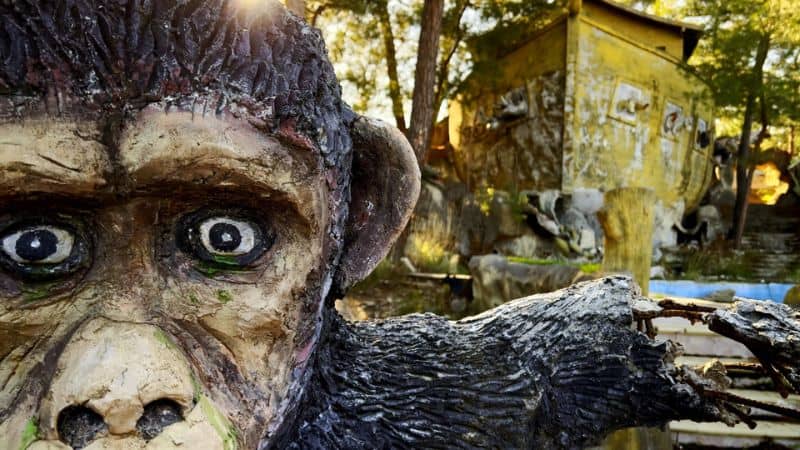 Strange Abandoned Deranged Ceylan Özgün Özçelik