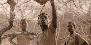 The 2025 FIFDH Impact Days selections