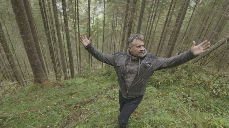 Tiberiu Boșutar