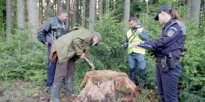 Tooth & Nail : Chainsaws, cameras, and the state that looked away