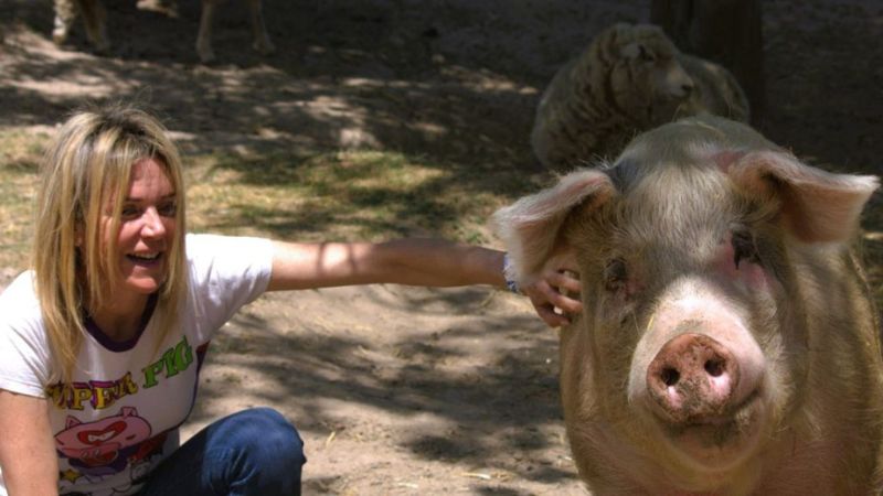 Pigcasso: Million Dollar Pig Stefan Enslin