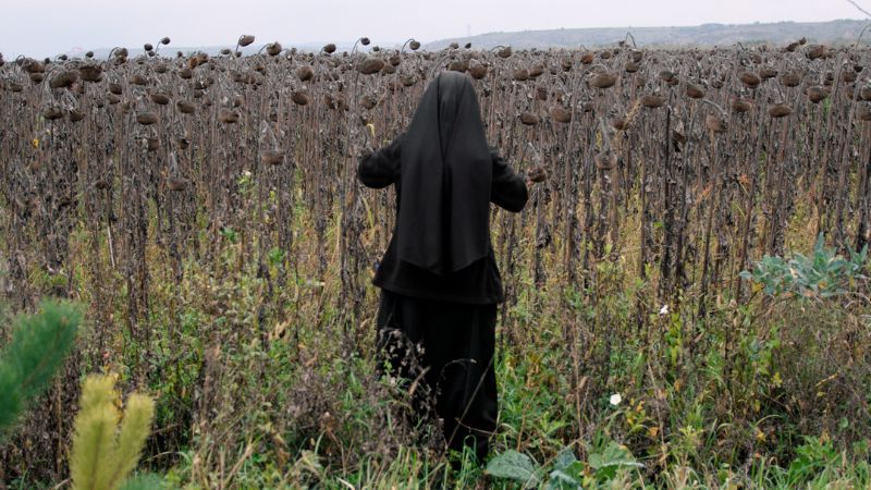 Sisters of Ukraine Mike Dorsey