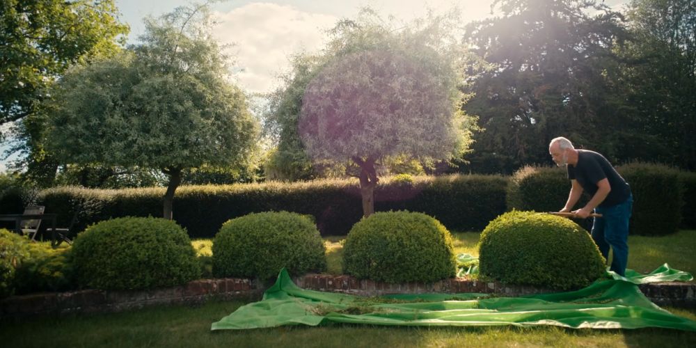 The gardener, the Buddhist & the Spy Håvard Bustnes