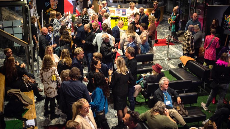 The crowd at Nordic/Docs Festival