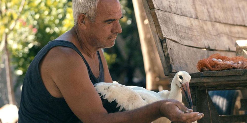 The Tale of Silyan Tamara Kotevska