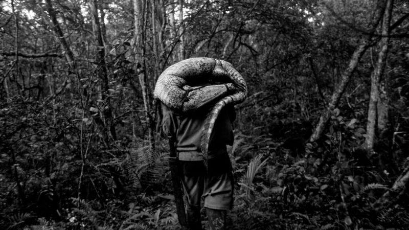 To The West, In Zapata David Bim