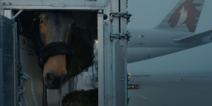 Tampere Film Festival unveils 2026 documentary selections, spotlighting Finnish productions
