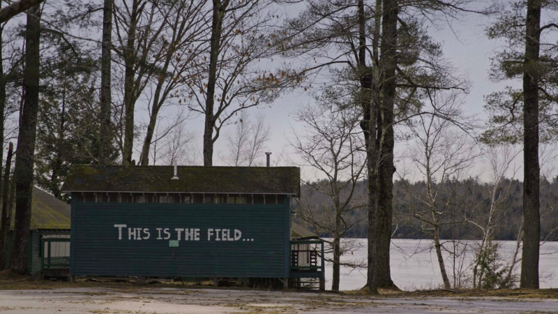 Far From Maine Roy Cohen