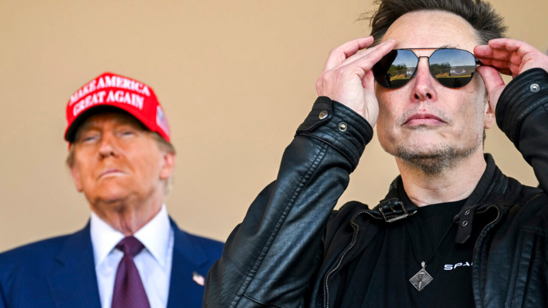 Elon Musk Unveiled: The Tesla Experiment Andreas Pichler