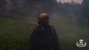Kikuyu Land