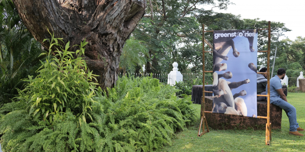 The outdoors of greenstories lab