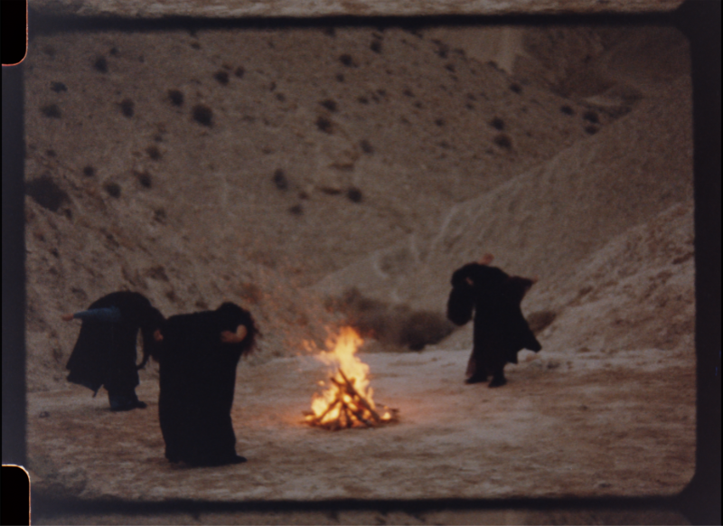 A Night We Held Between Noor Abed
